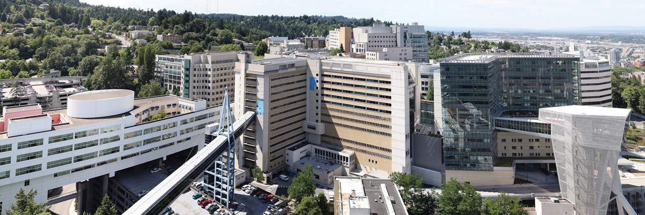 Summer Internship at University Center for Excellence in Developmental ...